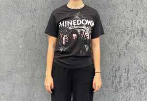 Unisex Rock & Roll shine down custom vintage tee / T-shirt